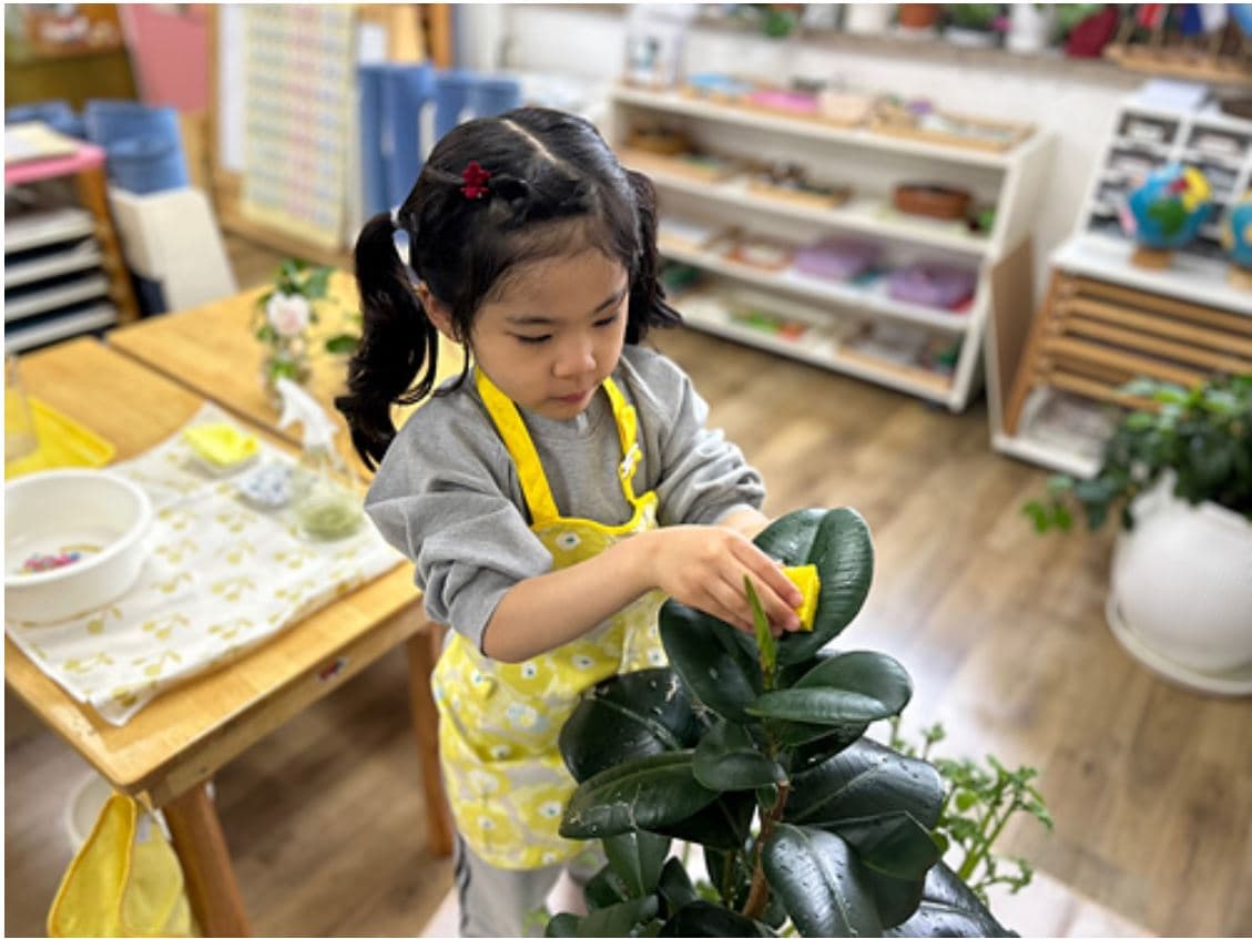 일상생활 영역 활동 3